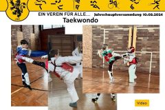 Taekwondo